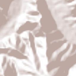 Colombia Terrain Map