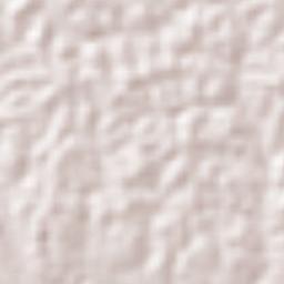 Barranco Minas Terrain Map