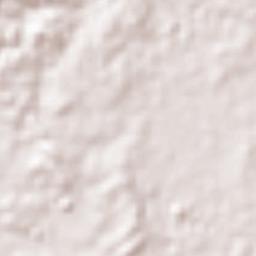 Shah Alam Terrain Map