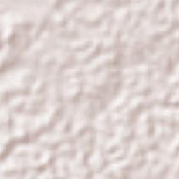 Mapiripana Terrain Map