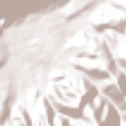 Algeciras Terrain Map