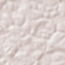 Morichal Terrain Map