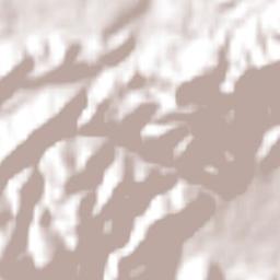 Altamira Terrain Map