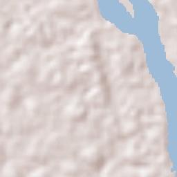 San Carlos de Río Negro Terrain Map