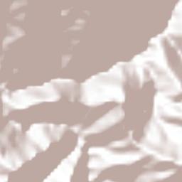 El Rosario Terrain Map