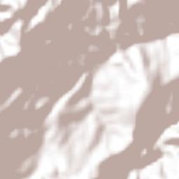 Palestina Terrain Map