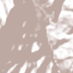 Santa Rosa Terrain Map