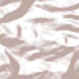 Policarpa Terrain Map