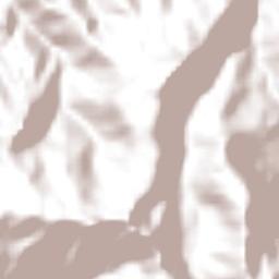 San Lorenzo Terrain Map