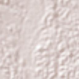 El Paujil Terrain Map