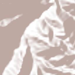 Samaniego Terrain Map