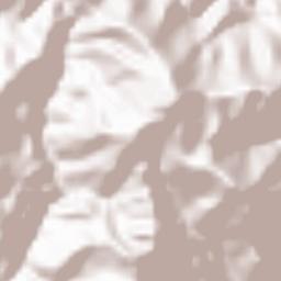 East Halmahera Regency Terrain Map