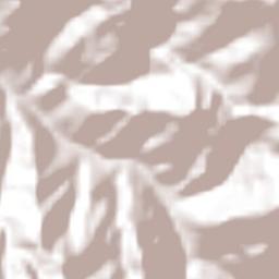 Ricaurte Terrain Map