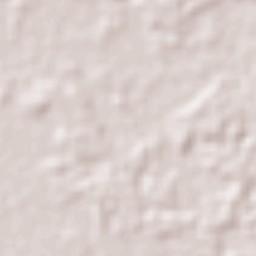 Puerto Guzmán Terrain Map