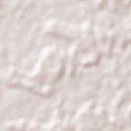 Rorainópolis Terrain Map