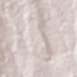 Ol Kalou Terrain Map