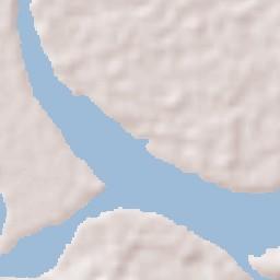 Puerto Francisco de Orellana Terrain Map