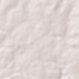 Magalhães Barata Terrain Map