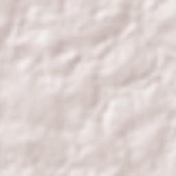 Santarém Novo Terrain Map