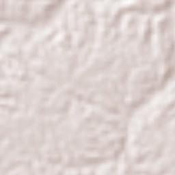 Puerto Alegría Terrain Map