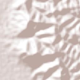 Cantón Portoviejo Terrain Map