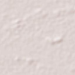 Ponta de Pedras Terrain Map