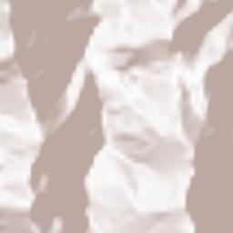 Kabupaten Manokwari Selatan Terrain Map