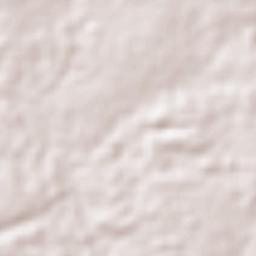 Santo Antônio do Tauá Terrain Map