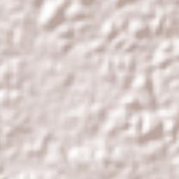 Presidente Figueiredo Terrain Map