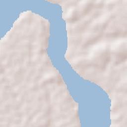Bacuri Terrain Map