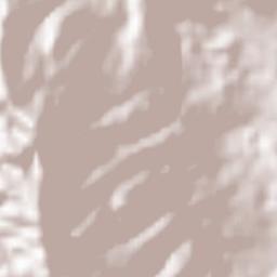 Kabupaten Morowali Utara Terrain Map