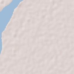 Palestina Terrain Map