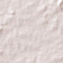 Centro do Guilherme Terrain Map