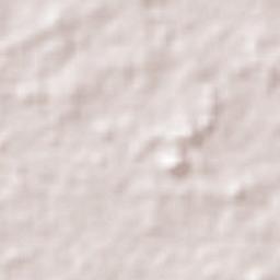 Presidente Médici Terrain Map