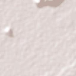 La Troncal Terrain Map