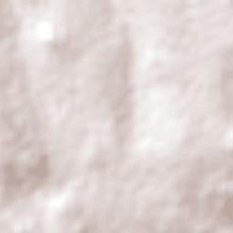 Ilemela District Terrain Map