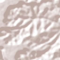 Itapiranga Terrain Map