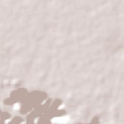 Djambala Terrain Map