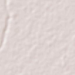 Primeira Cruz Terrain Map