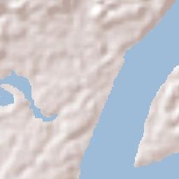 Tonantins Terrain Map