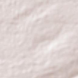 Paulino Neves Terrain Map