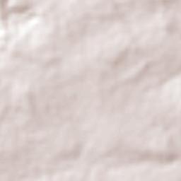 Paragominas Terrain Map