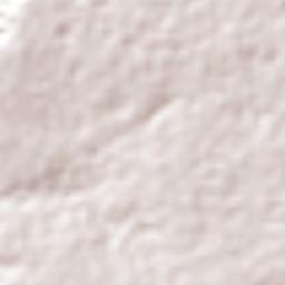 Belterra Terrain Map