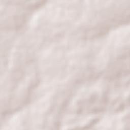 Cajueiro da Praia Terrain Map