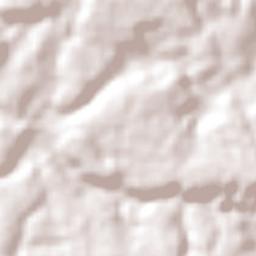 Mojuí Dos Campos Terrain Map