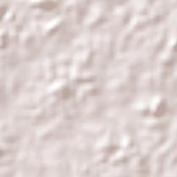 Araguanã Terrain Map