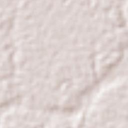 Caapiranga Terrain Map