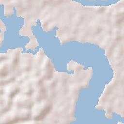 Boa Vista do Ramos Terrain Map