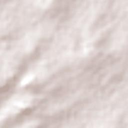 Nyalikungu Terrain Map