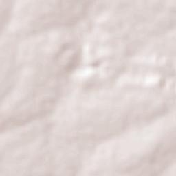 Bom Princípio do Piauí Terrain Map